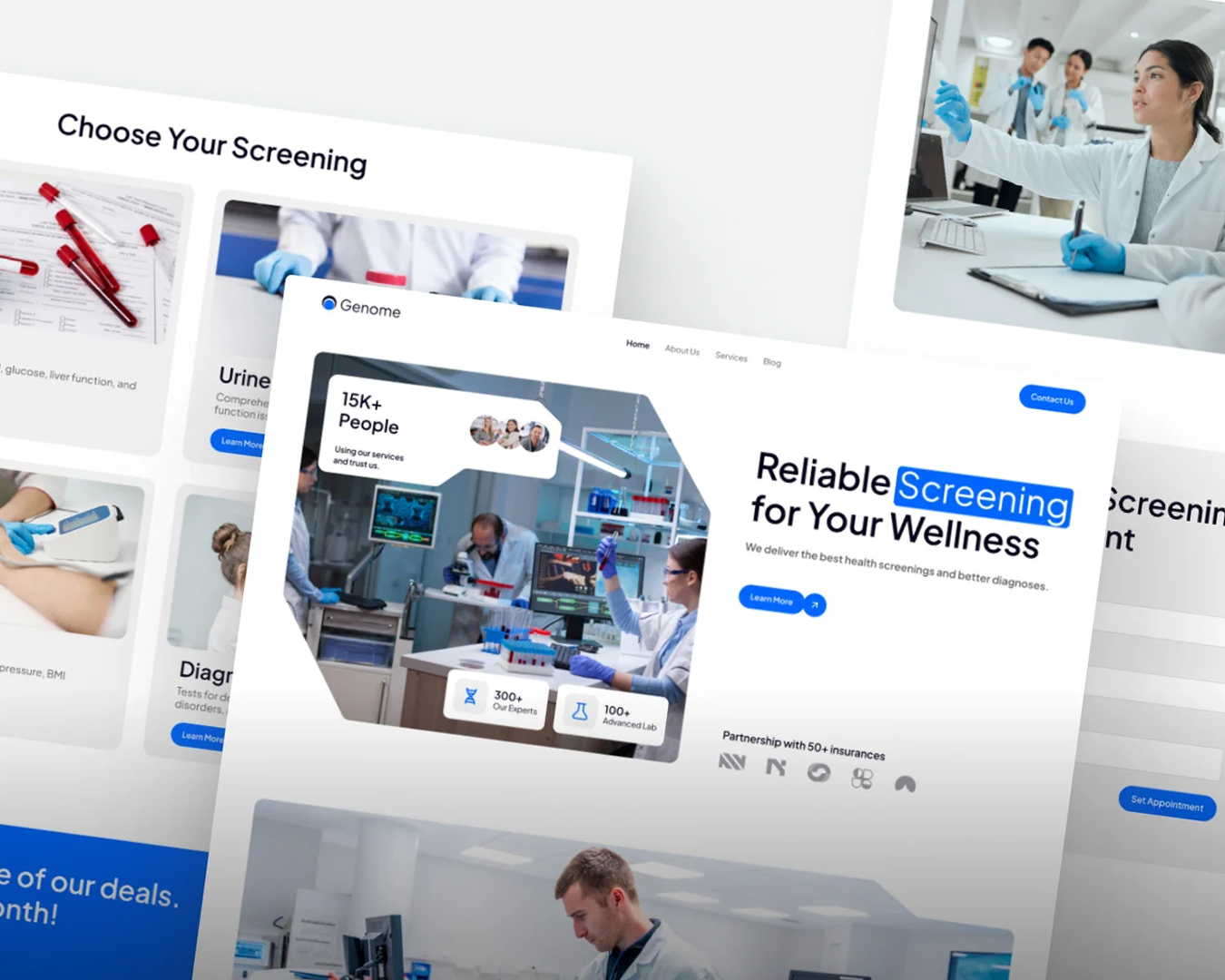 Web Design